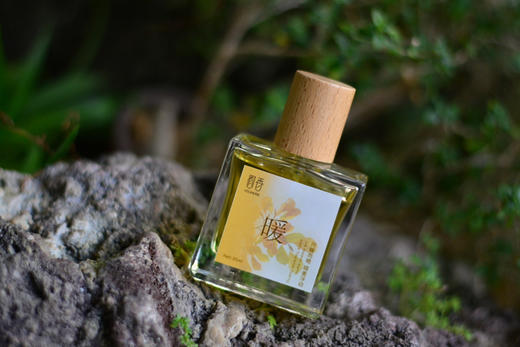 【暖】精油香水限量上新，向暖而栖，暗香浮动35ml 商品图5