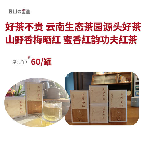 【云南好茶】云南澜沧江红茶 山野香梅·晒红 蜜香红韵·功夫红茶 茶叶  传统手工晒红工艺 生态茶园出品 商品图1