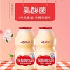 娃哈哈乳酸菌饮料100mlx32瓶整箱【BC】【QC】 商品缩略图1