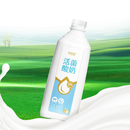 【新春团圆分享装】新希望白帝鲜牛奶1.5升/桶＋新希望活菌酸奶1.5kg/桶 商品图12