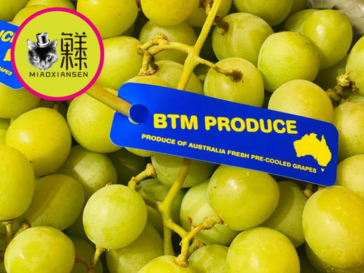 【即时达】澳洲空运✈️甜地球🌐无籽青提 商品图4