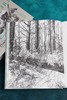 新森林志——遇见树木的科学、历史与艺术 商品缩略图8
