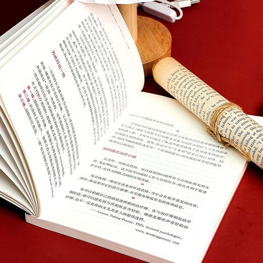 写给自闭症儿童父母的101条小贴士女孩篇 孤独症特殊教育 儿童教育家庭教育指导操作性手册 商品图7