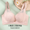 雅黛丽内衣女小胸显大性感蕾丝文胸无钢圈收副乳防下垂美背胸罩女 商品缩略图0