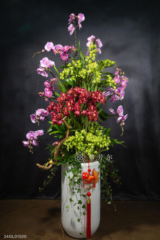 24GL01020 商品图0