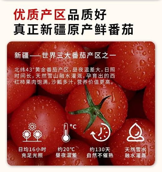 笑厨番茄丁 商品图2