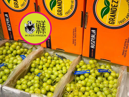 【即时达】澳洲空运✈️甜地球🌐无籽青提 商品图1