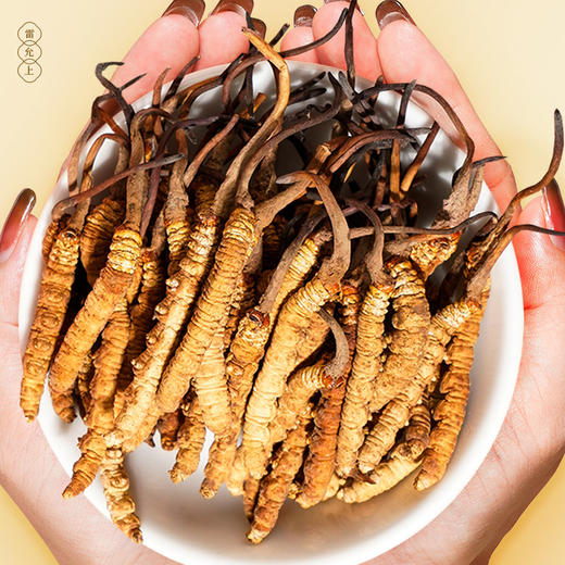 雷允上西藏甲级冬虫夏草7g/盒（-40） 商品图4