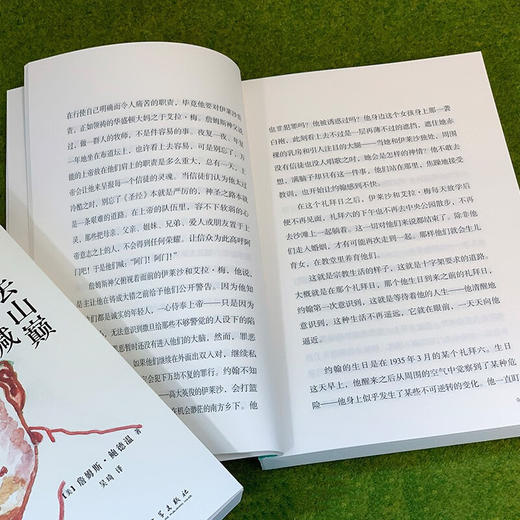 去山巅呼喊（《下一次将是烈火》詹姆斯·鲍德温处女作，用父子仇恨隐喻非裔美国人集体的挫败和愤怒） 商品图6