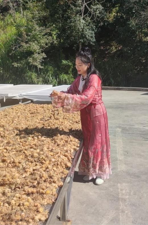 仙人余粮|九制黄精|美味软糯|营养丰富 代餐零食好吃 商品图2