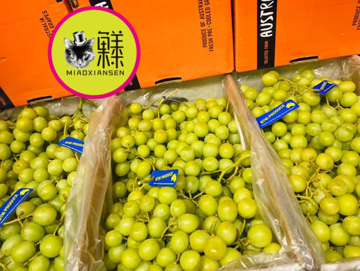 【即时达】澳洲空运✈️甜地球🌐无籽青提 商品图0