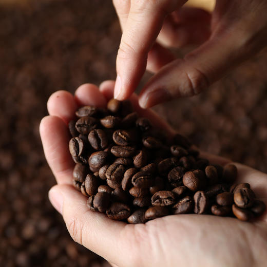 尝味无限珍藏限量系列 · 手冲精品咖啡豆 商品图1