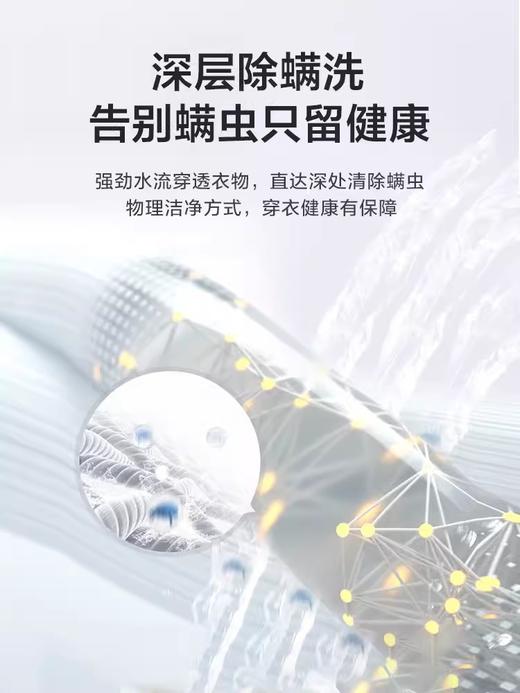 小天鹅全自动大容量波轮洗衣机10公斤租房家用洗脱一体TB100V23H 商品图1