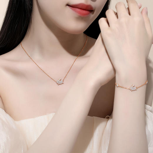 【十二生肖】S925银满钻本命年生肖项链【JHY-N000582M】 商品图2