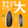 洽洽葵珍八分熟原味瓜子礼盒188g*6罐（黑金罐）过节送礼礼品1128g 商品缩略图5