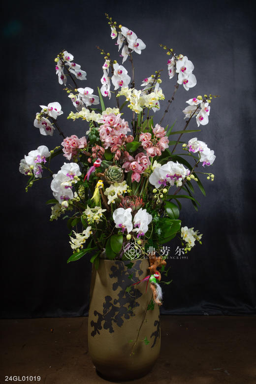 24GL01019 商品图0