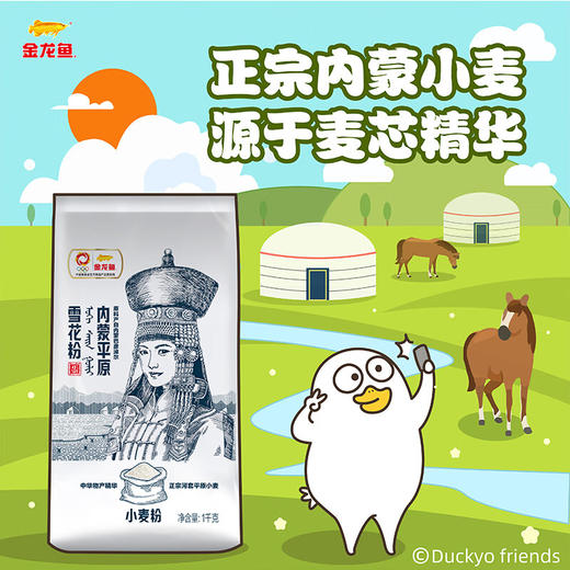 金龙鱼 面粉 中筋粉 内蒙平原雪花粉 1kg 麦芯粉 内蒙古河套平原小麦 商品图1