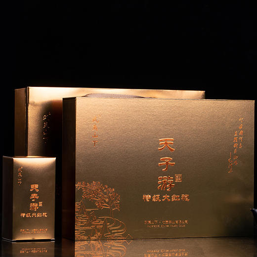 武夷山下丨特级大红袍 武夷岩茶 乌龙茶 特级 天子游系列 124.5g（8.3g*15泡） 礼盒配手提袋  商品图3