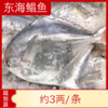 【海鲜】冰鲜东海小鲳鱼 2条约230g 商品缩略图0