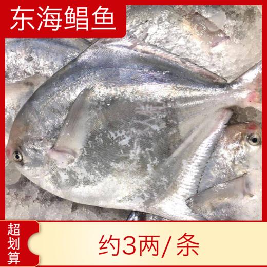 【海鲜】冰鲜东海小鲳鱼 2条约230g 商品图0