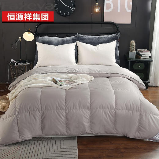 恒源祥集团彩羊家纺+时尚鹅绒被（灰）+1DJ9701【HSZG20.0】 商品图1