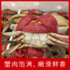 【海鲜】鲜活三门青蟹 6-7两/只 商品缩略图2