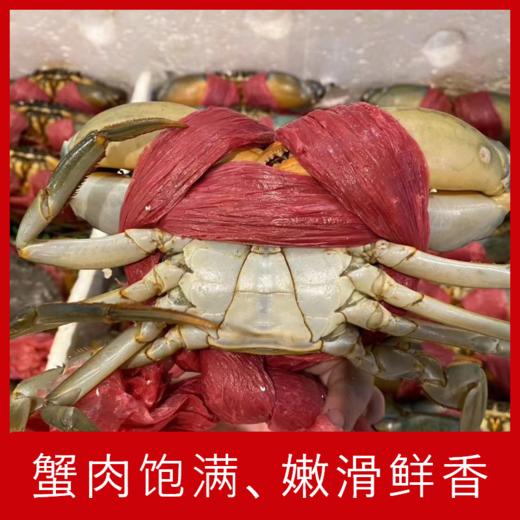 【海鲜】鲜活三门青蟹 6-7两/只 商品图2