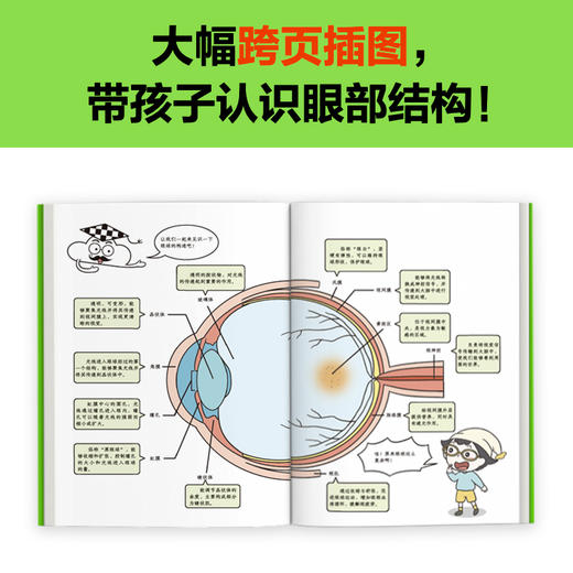 小学生漫画保护视力（全2册）加阅读架 商品图6