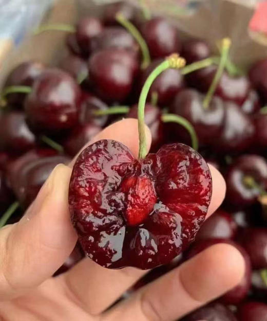 车厘子季开始，智利车厘子，3J，个头大，甜 商品图0