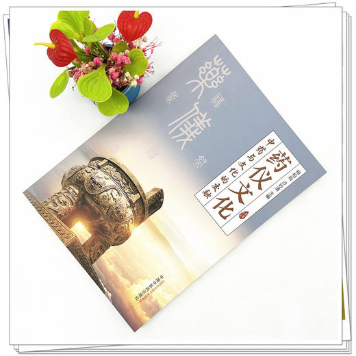 药仪文化 中药与文化的交融 杨柏灿 沙妙清 主编 中国中医药出版社 商品图1