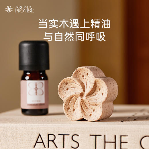 精油扩香木 留香 香薰多场景摆件 车载扩香木 商品图1