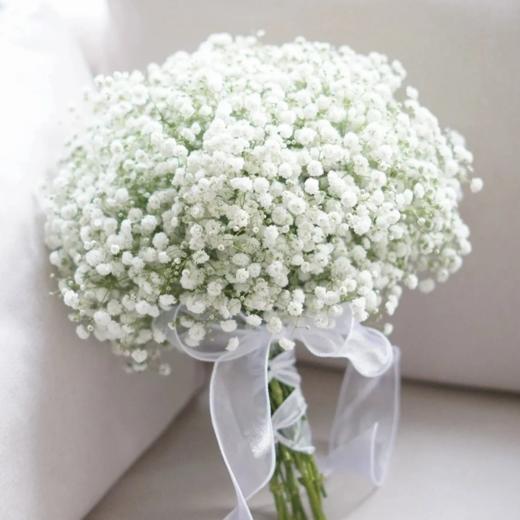 满天星 白色 1kg/扎 颜色深浅略有差异 以实物为准 云南基地发货（价格已包含包装费用） 运费以实际为准，多退少补。 商品图1