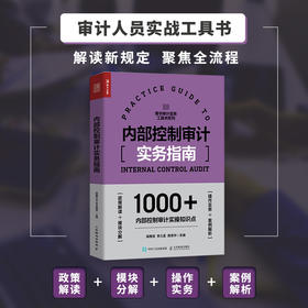 内部控制审计实务指南 内部控制审计工具书 一线审计工作者操刀 近百个实战图表模板示例 1000+内控审计实操知识点详解