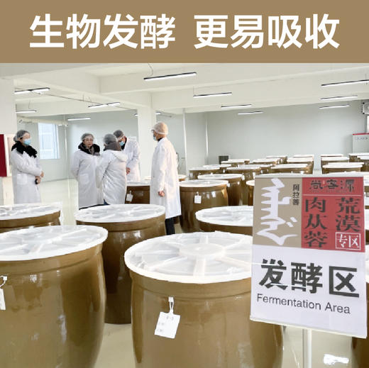 【自营】肉苁蓉原液（30ml/瓶*6支） 阿拉善荒漠肉苁蓉 使用第四代生物发酵技术 无添加 无防腐剂 【保质期至25年3月】 商品图4