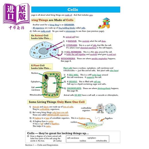 预售 英国CGP教材 KS3 Maths Science Study Guide Foundation 中学数学科学基础课程学习指导教辅2册 11-14岁 商品图3