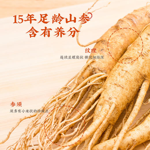 雷允上直营 | 野山参粉2g（1g*2瓶)人参粉吉林长白山15年以上野山参研磨2g礼盒   商品图2