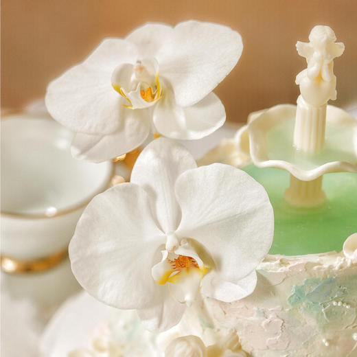 【自由追梦师】 香草奶油芒果口味  | 左羊 商品图4