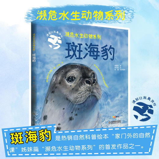 斑海豹 商品图2