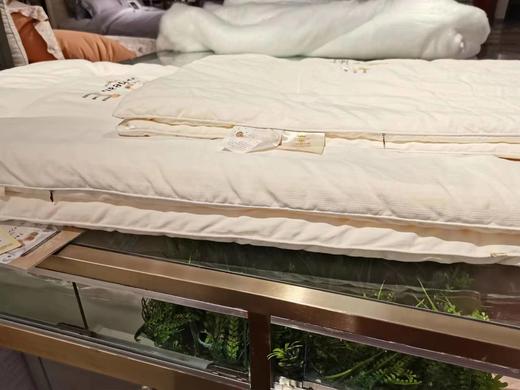 西施蚕娘大豆春秋被 商品图1