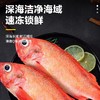 550g3条装丰帆汇红石斑鱼【1B1上/2C3下】 商品缩略图1
