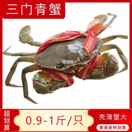 【海鲜】鲜活三门青蟹 6-7两/只 商品图0