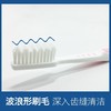 佳洁士牙刷软毛牙刷家庭装牙刷清洁口腔（新旧包装&颜色随机发货） 弹性牙刷1支装 商品缩略图1
