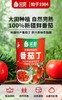 笑厨番茄丁 商品缩略图4