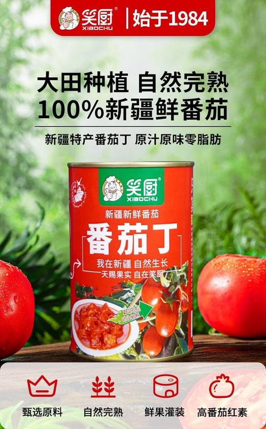 笑厨番茄丁 商品图4