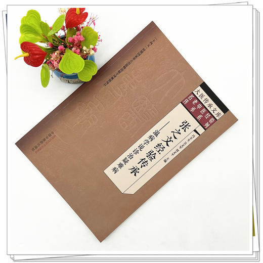 张之文经验传承 温病学说诊治疑难病 冯全生 吴文军 刘文平 主编 中国中医药出版社 大医传承文库 名老中医经验传承系列 商品图1