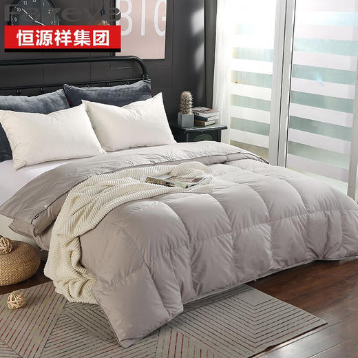 恒源祥集团彩羊家纺+时尚鹅绒被（灰）+1DJ9701【HSZG20.0】 商品图0