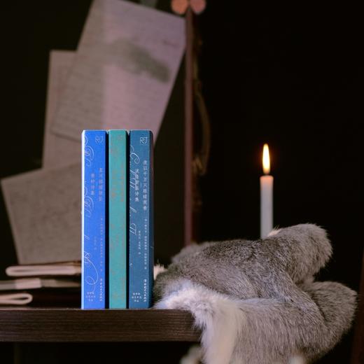 星河摇摇欲坠：费特诗集 商品图5