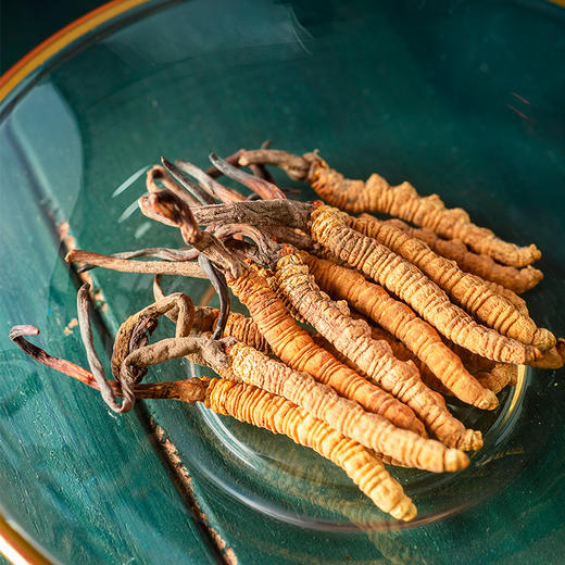 雷允上西藏甲级冬虫夏草6g/盒（-40） 商品图4