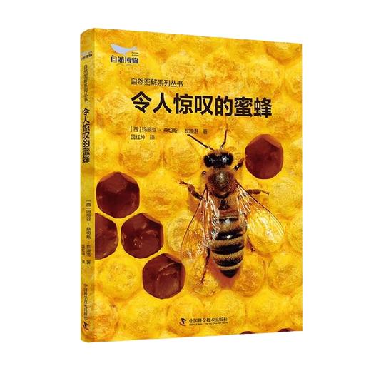 令人惊叹的蜜蜂 玛丽亚·桑切斯·瓦迪洛 著  科普读物 商品图0