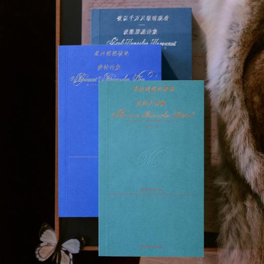 夜以千万只眼睛观看：波隆斯基诗集 商品图4